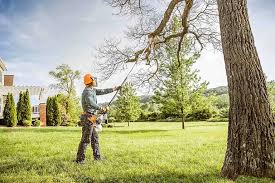 Best Soil Testing and Treatment  in San Bruno, CA