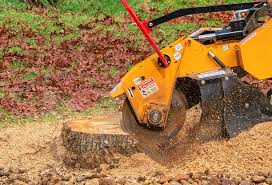 Best Hazardous Tree Removal  in San Bruno, CA